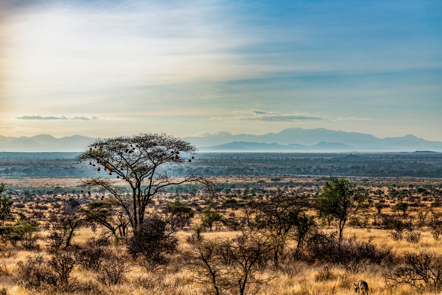 Days Samburu Lake Nakuru Masai Mara Budget Adventure Kenya